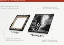 PRO ART Canvas-Art Bild GREY ELEPHANT HEAD 27 x 27 cm schwarz/ weiß