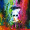 PRO ART Handpainting Bild COLOURFUL GORILLA 100 x 100 cm Leinwand mehrfarbig