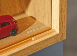 Sammlervitrine MIO 80x60x9,5 cm Buche Dekor