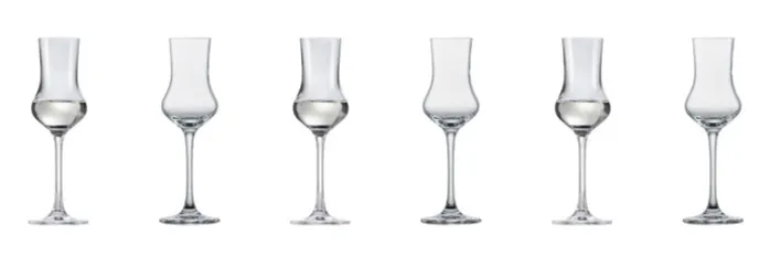 SCHOTT ZWIESEL Digestifglas CLASSICO 6er Set - je 95 ml