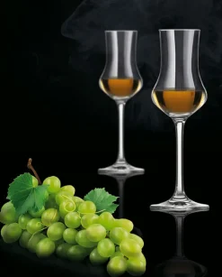 SCHOTT ZWIESEL Digestifglas CLASSICO 6er Set - je 95 ml