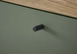 Sideboard ALVA 160 x 83 cm Salbeifarbig/braun