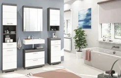 Spiegelschrank SCOUT 60 x 79 cm grau