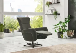 SYSTEMPOLSTER Fernsehsessel DARWIN I olive