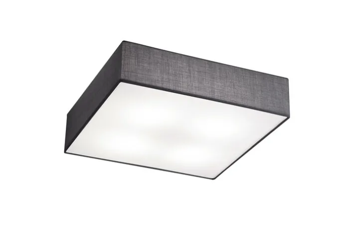 TRIO Retrofit Deckenlampe X-EMBASSY