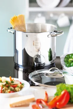 WMF Gemüsetopf PROVENCE PLUS 24 cm Edelstahl