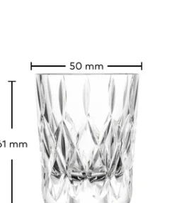Zwiesel Schnapsglas AGE Kristallglas